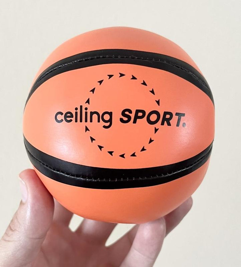 Ceiling Sport - Ceiling SWISH Hanging Indoor Basketball Hoop Authentic